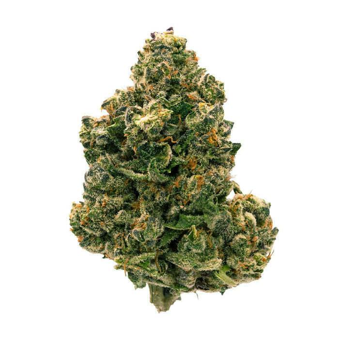 Citrus Notes (Rotating Strain)