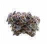 Blueberry Sugar
