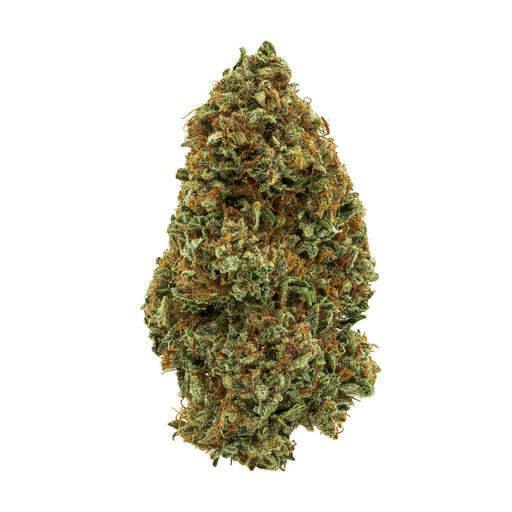 Sour Congo