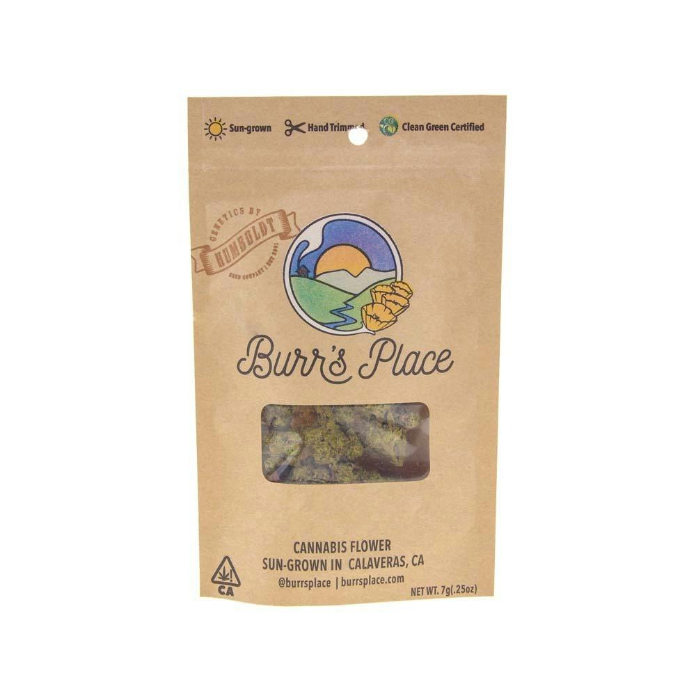 Burr's Place — Poddy Mouth