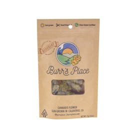 Burr's Place | Blueberry Pancakes (7g)