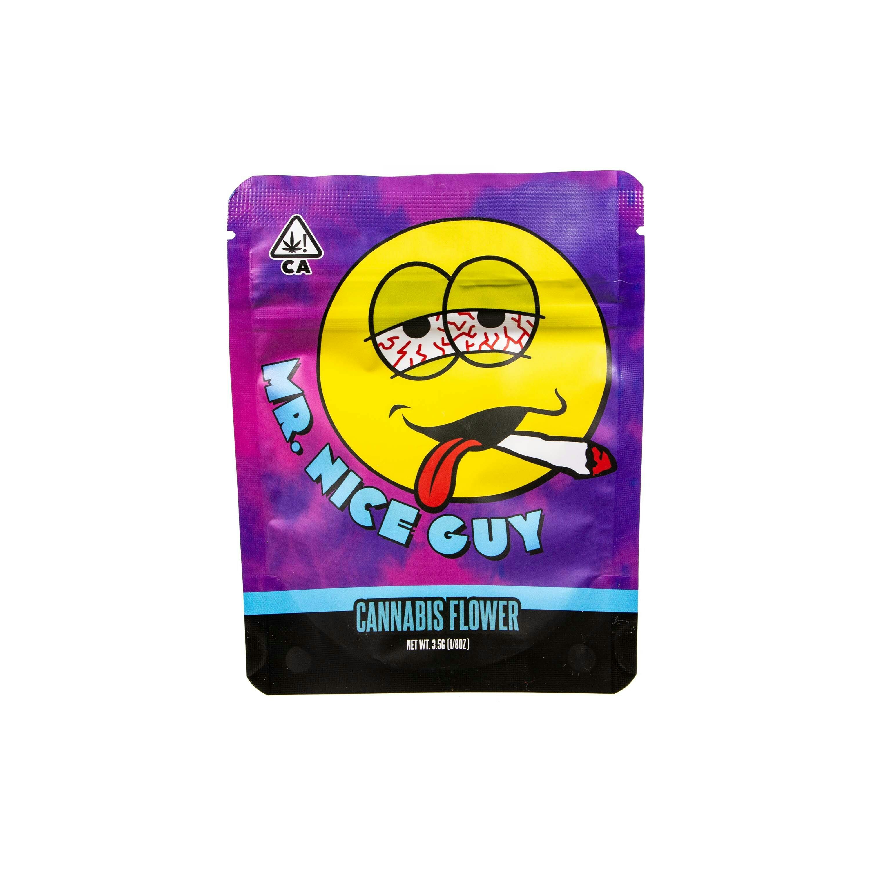 Mr. Nice Guy — Party