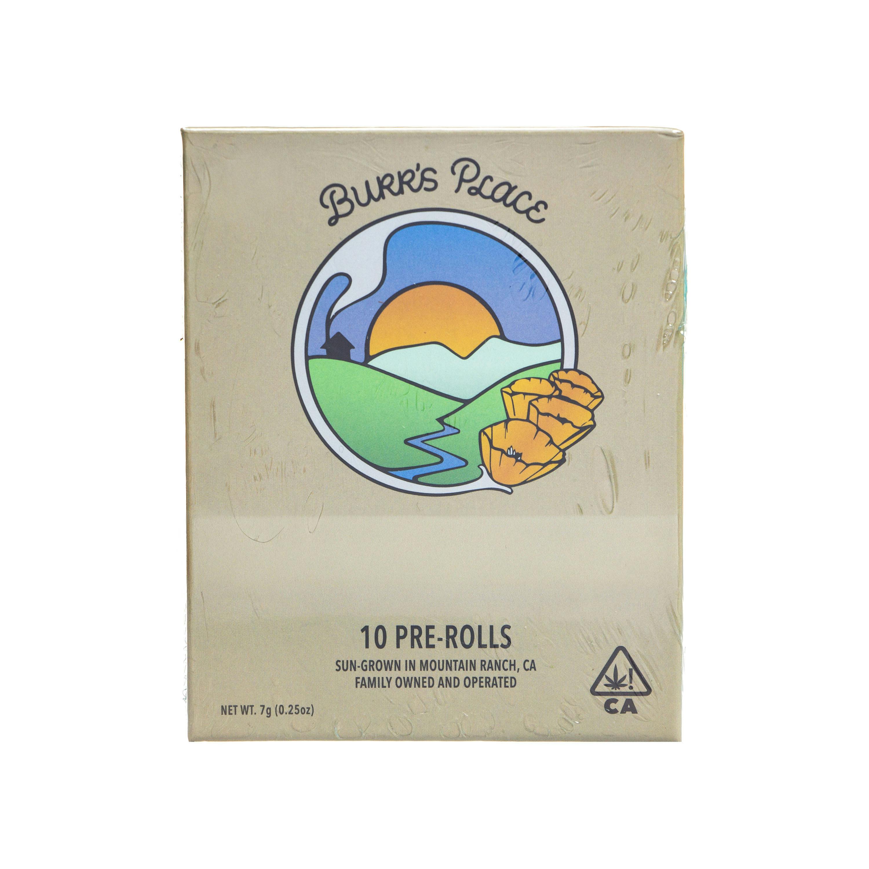 Burr's Place | Mountain Mint Pre-rolls (10 Pack - 5g)