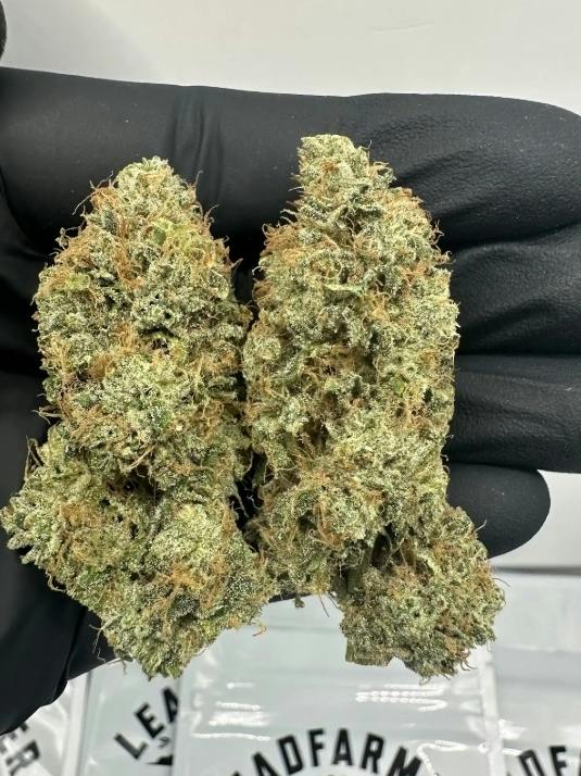 LeadFarmer | Skunk #1 x Northern Lights #5 | Indoor Kief Infused Flower Pre-Roll 1G