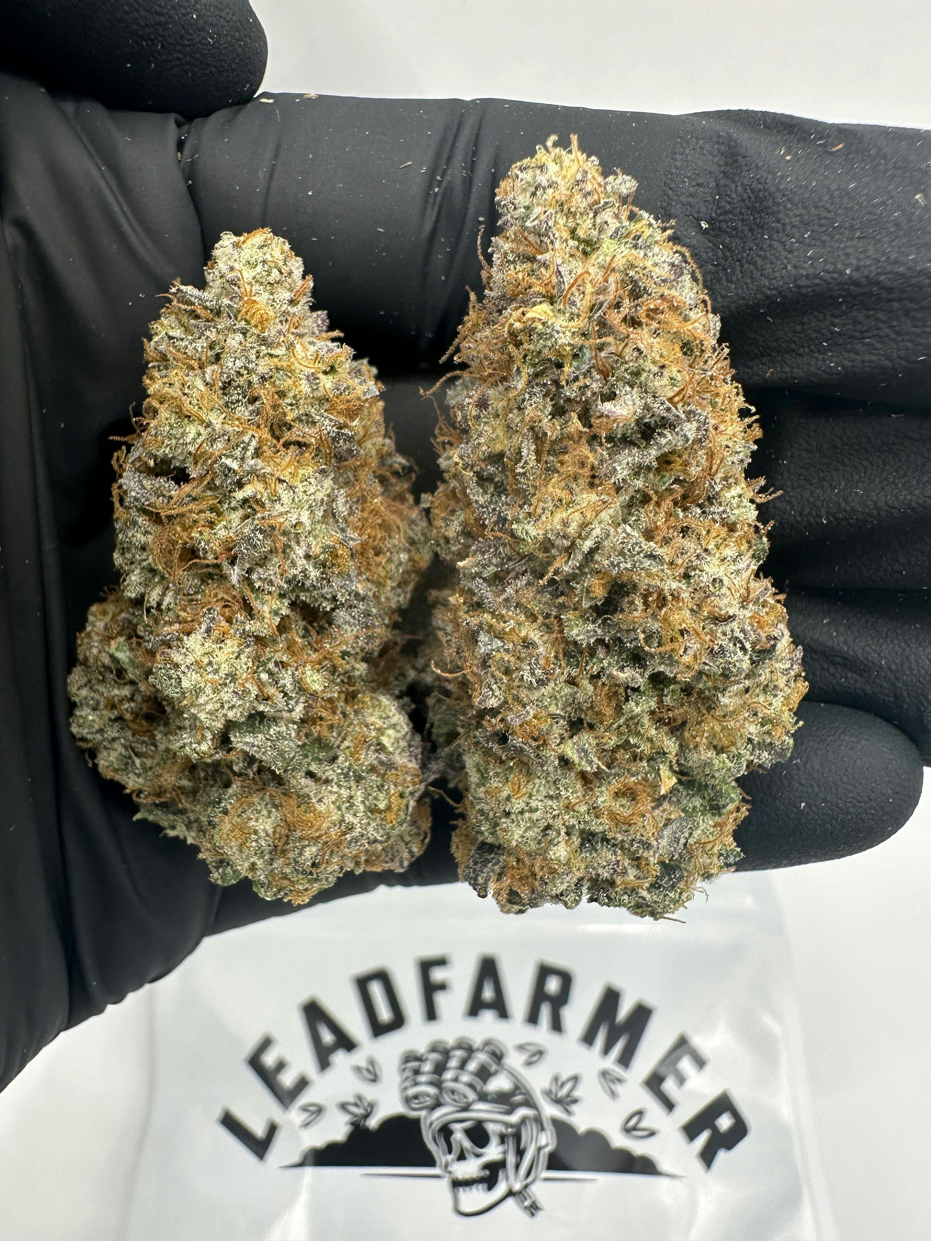 LeadFarmer | Zoapinator | Indoor Flower Pre-Roll 1G