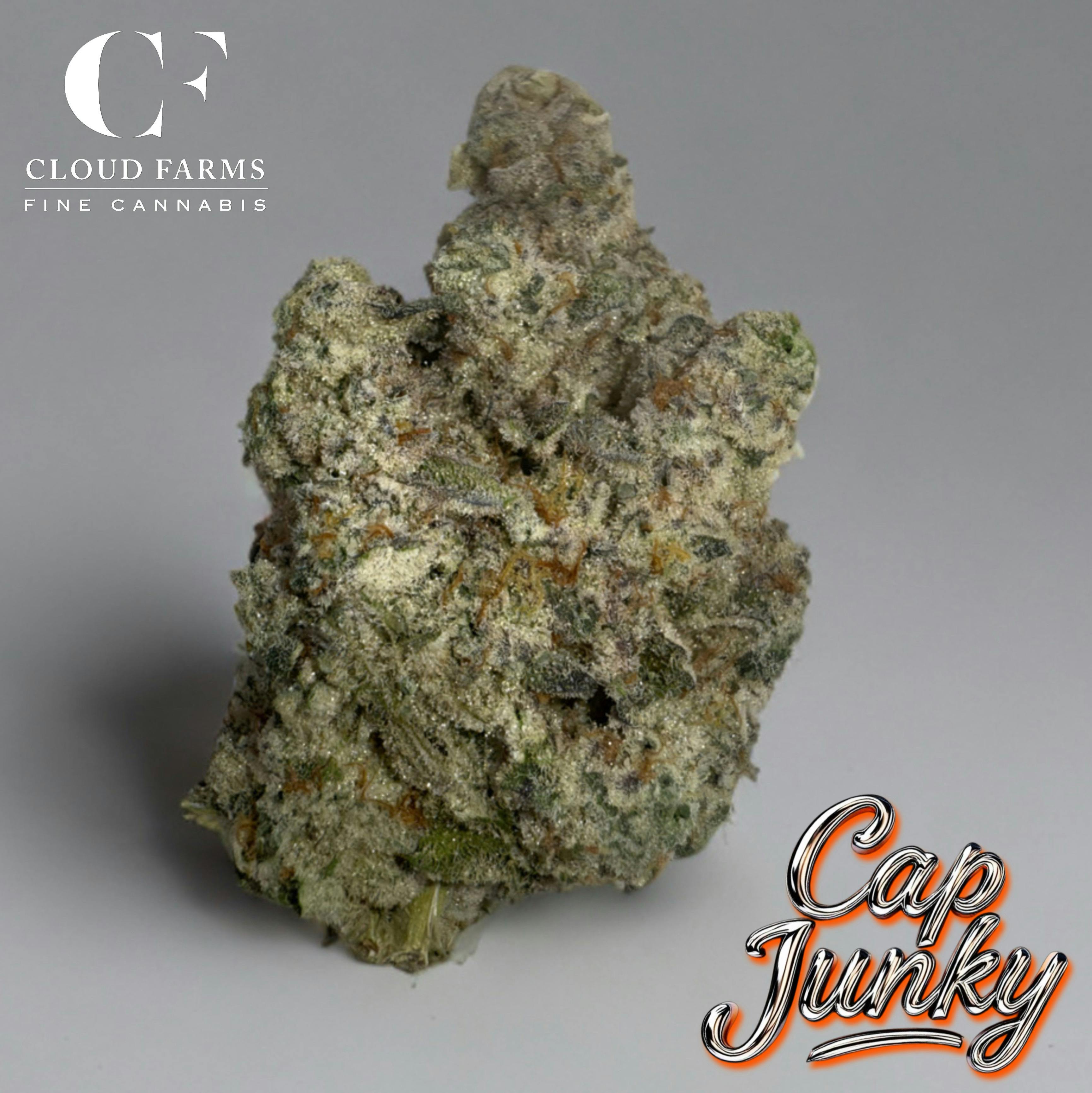 Cloud Farms | Cap Junky cannabis product