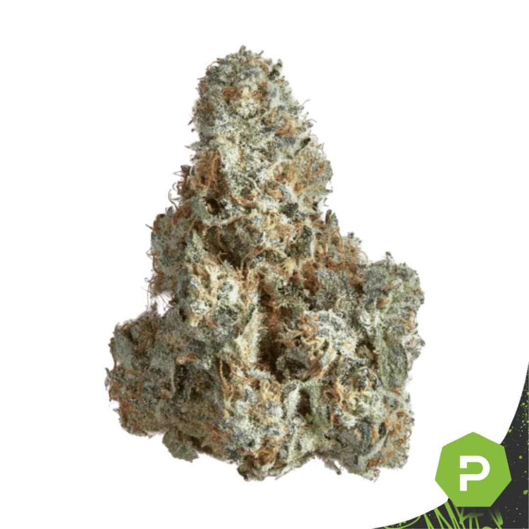 Goldkine | Bananaconda