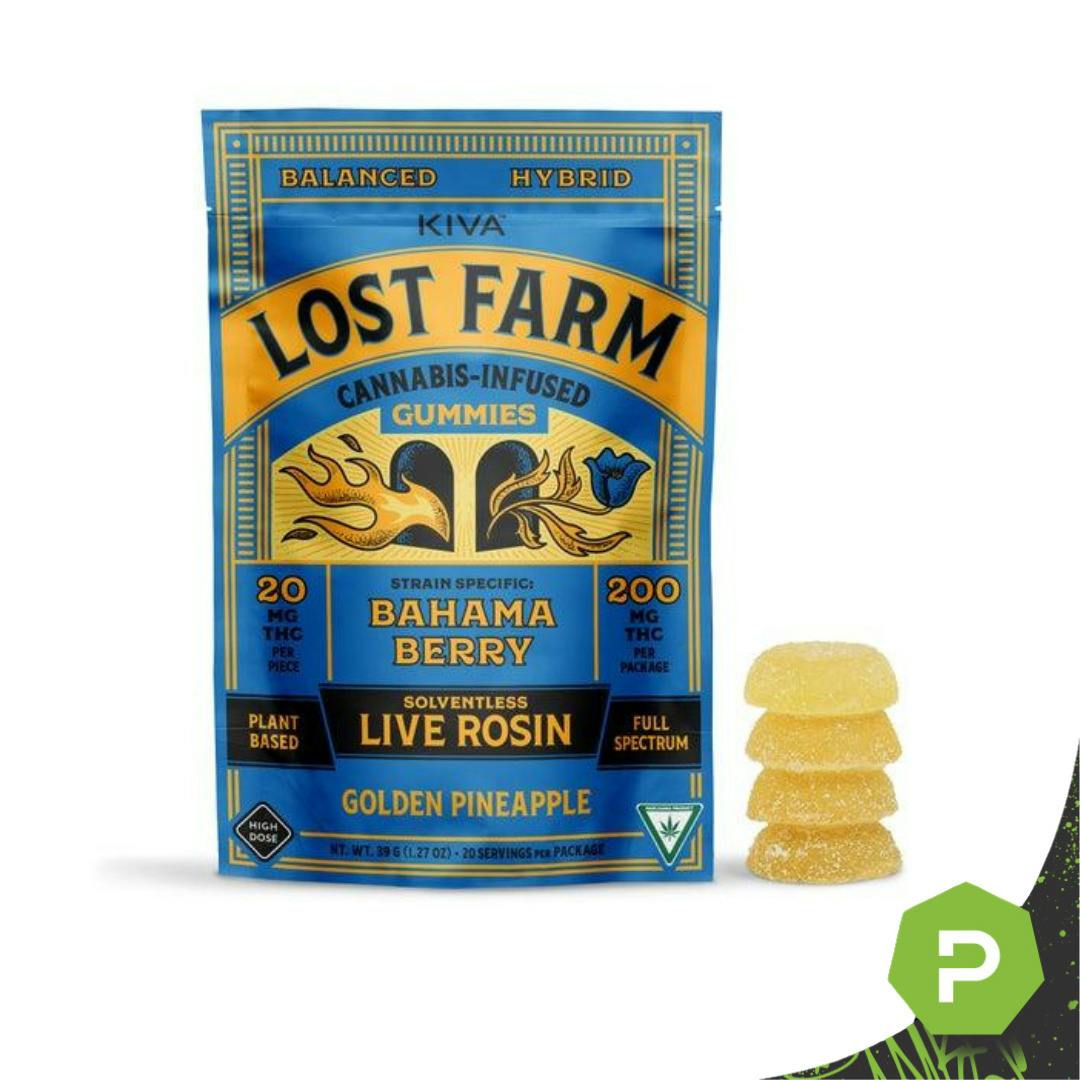 Lost Farm | 200mg Live Rosin Gummies | Golden Pineapple