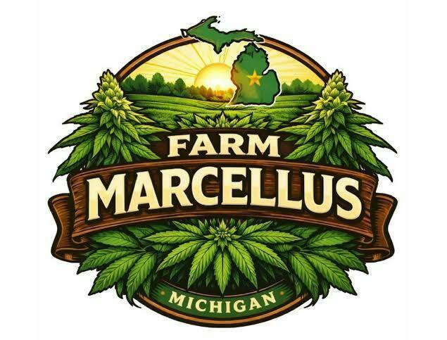 Farm Marcellus | Oreoz x Trop Cherry at Pure Options - Traverse City