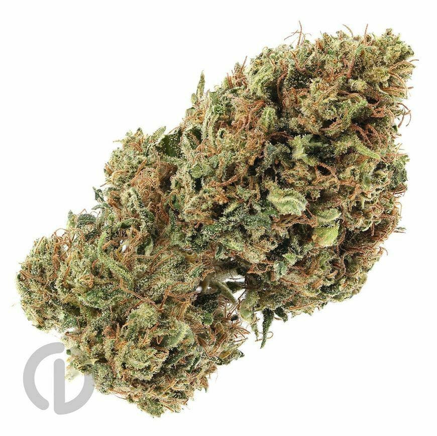 CBN: Bronze Tier I Ringo S Strawberry I Ommp Price