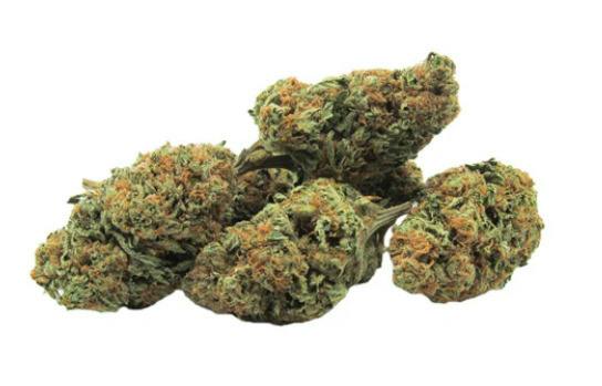 14G | GORILLA ZKITTLEZ | GREEN MONTAIN HEALTH ALLIANCE