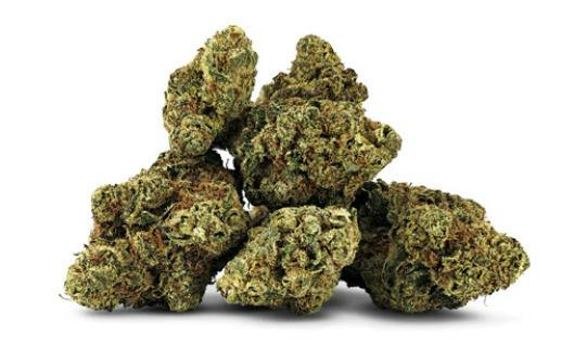 7G | LYCHEE DREAM | BC BLACK