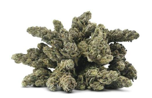 28G | GLITTER BOMB | BC OZ