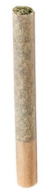 1X0.5G | GASTRO POP | CAPPELLANO CANNABIS