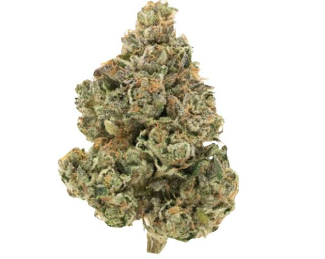 7G | NY LEMON DIESEL | 1964