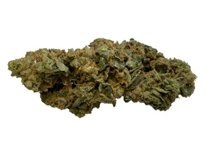3.5G | HYBRID FLOWER-GAS NASTY | INDIGENOUS BLOOM