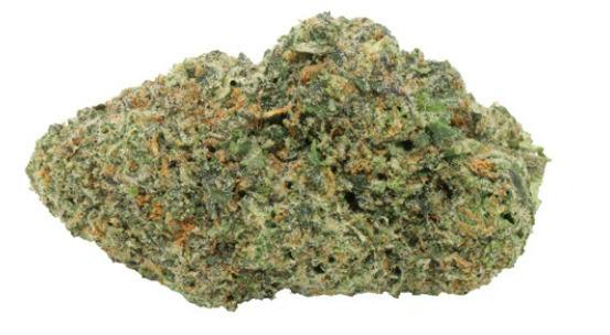 3.5G | PERMANENTLY JEALOUS | CARMEL
