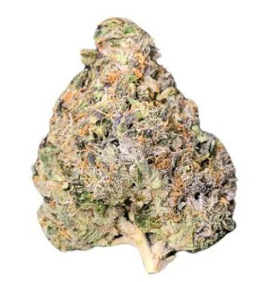 7G | BC KEY MOH KUSH | FORT 20 FARMS