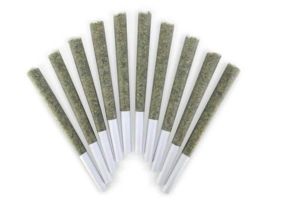10X0.5G | PIER PRESSURE PRE-ROLLS | BC DOOBIES