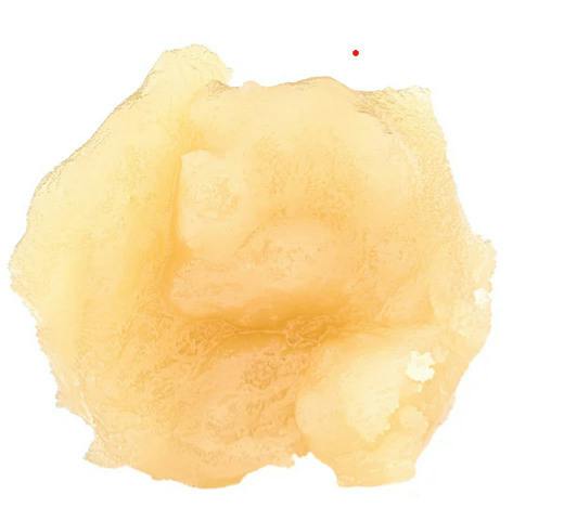 1G | DRAGO LIVE ROSIN | DABBLEBERRY