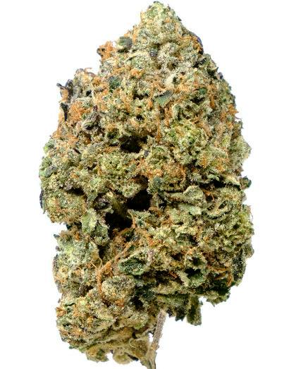 3.5G | PINK GOO SMALLS | PISTOL & PARIS