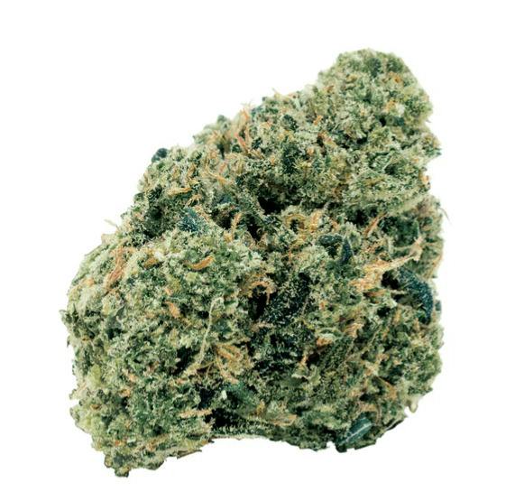 7G | NORTHERN OG KUSH | 7ACERS