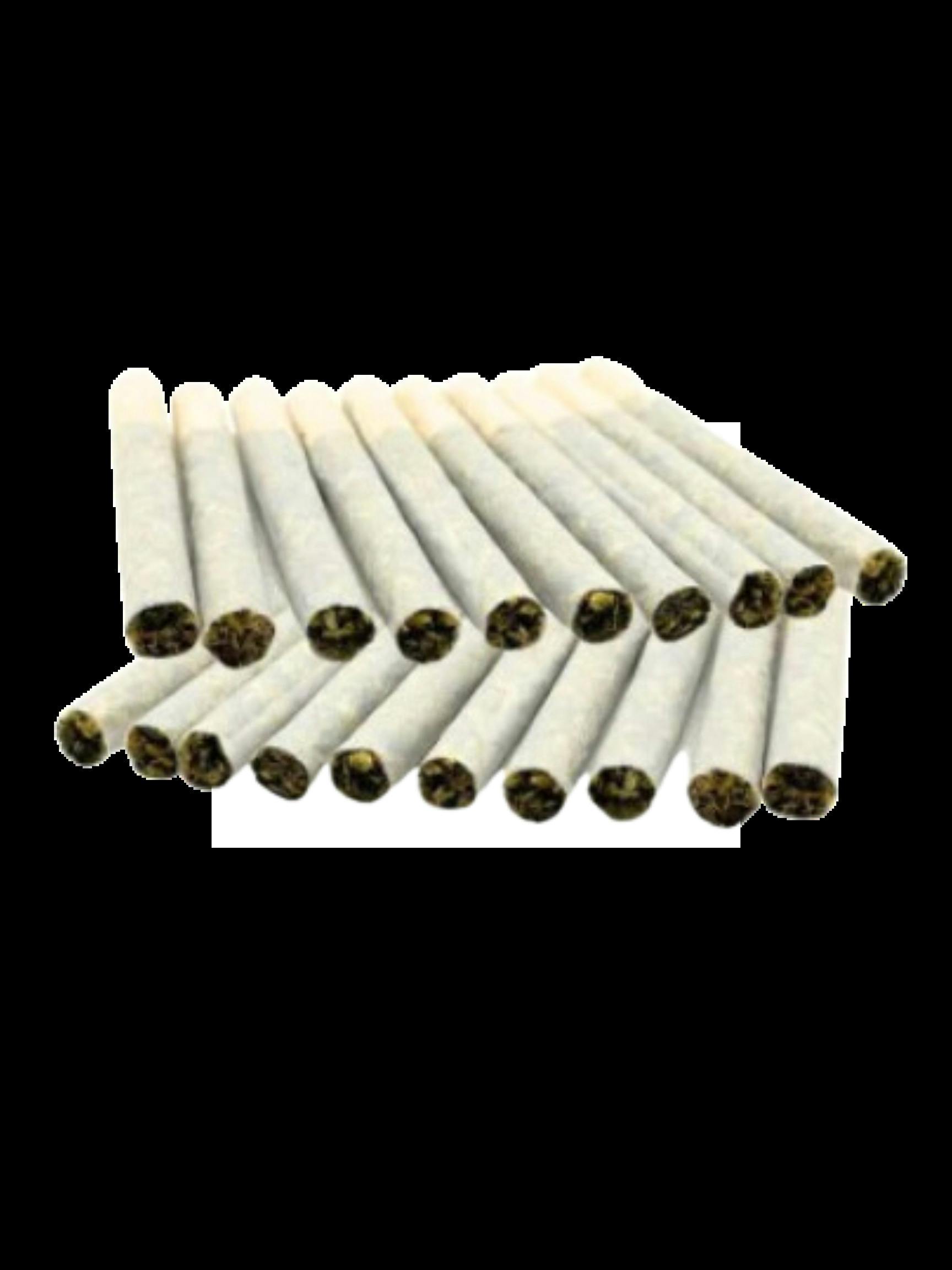 20X0.5G | BLOCK PARTY VARIETY PRE-ROLL PACK | TRYGG