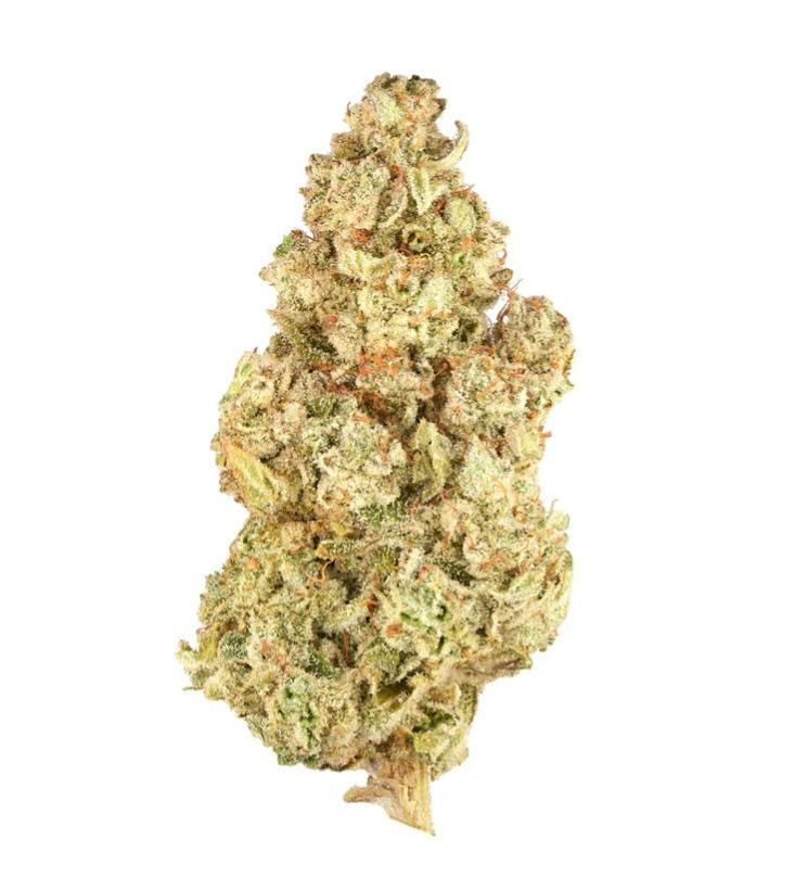3.5G | BC ORGANIC LEMON LOOPZ LTO | SIMPLY BARE