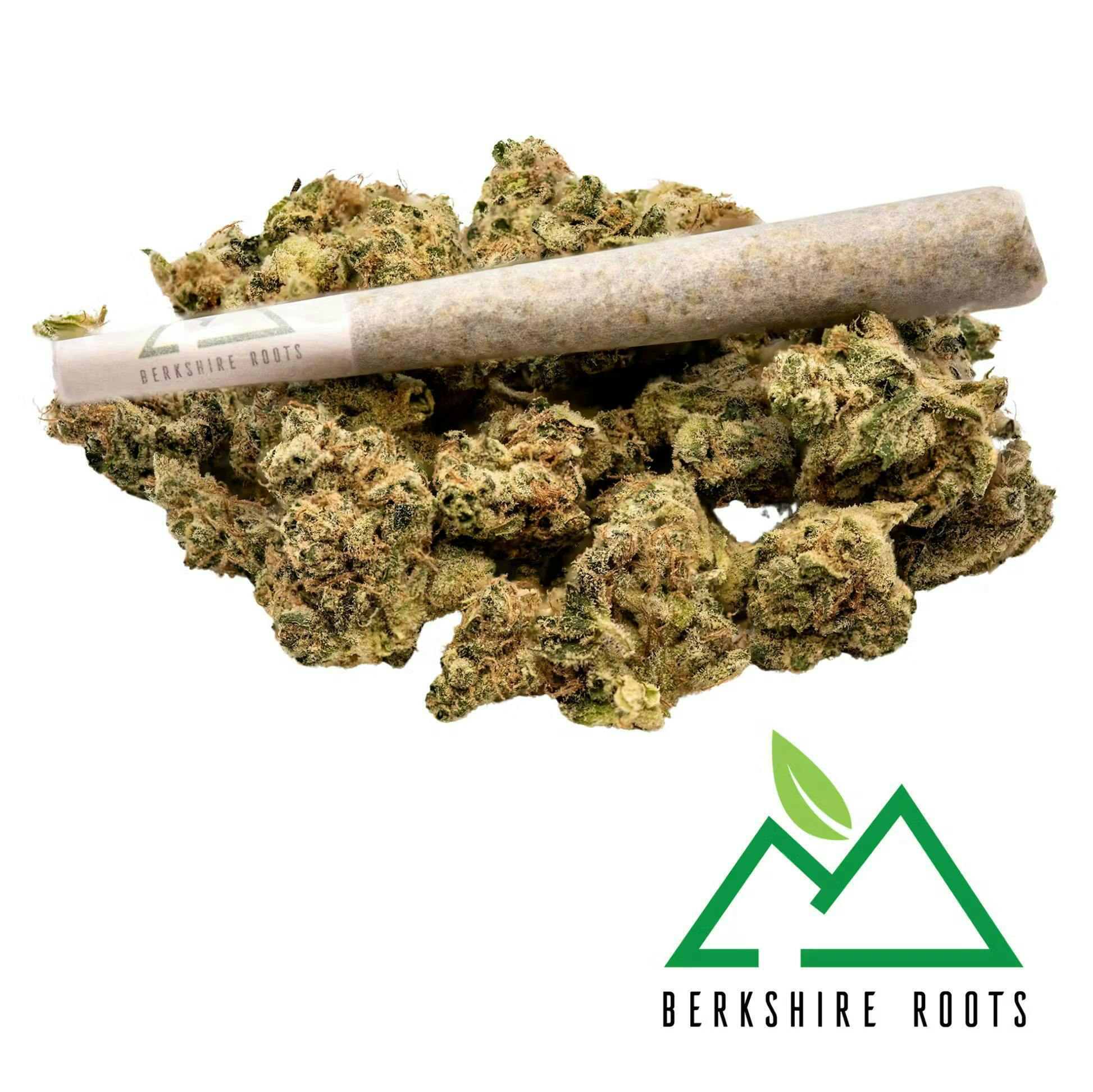 London Jelly cannabis product