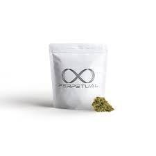 Shake | Chocolope