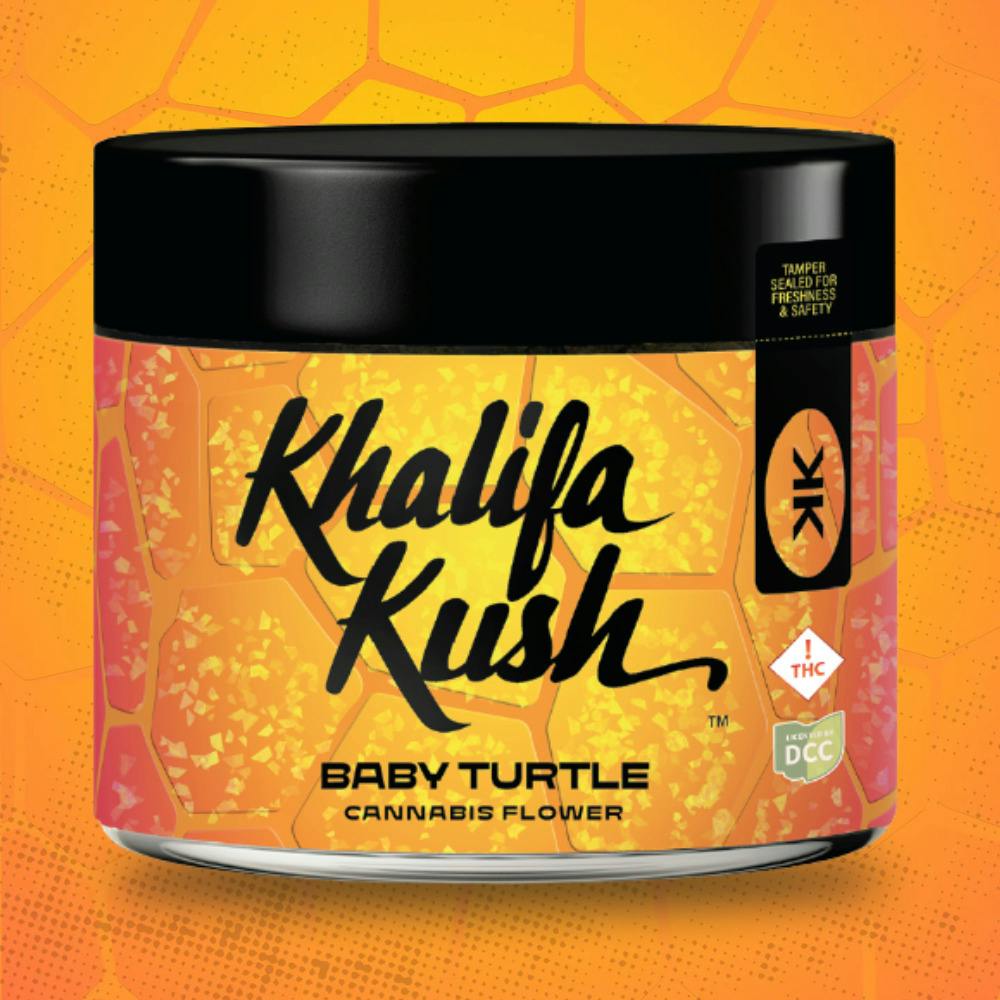 Baby Turtle Shake