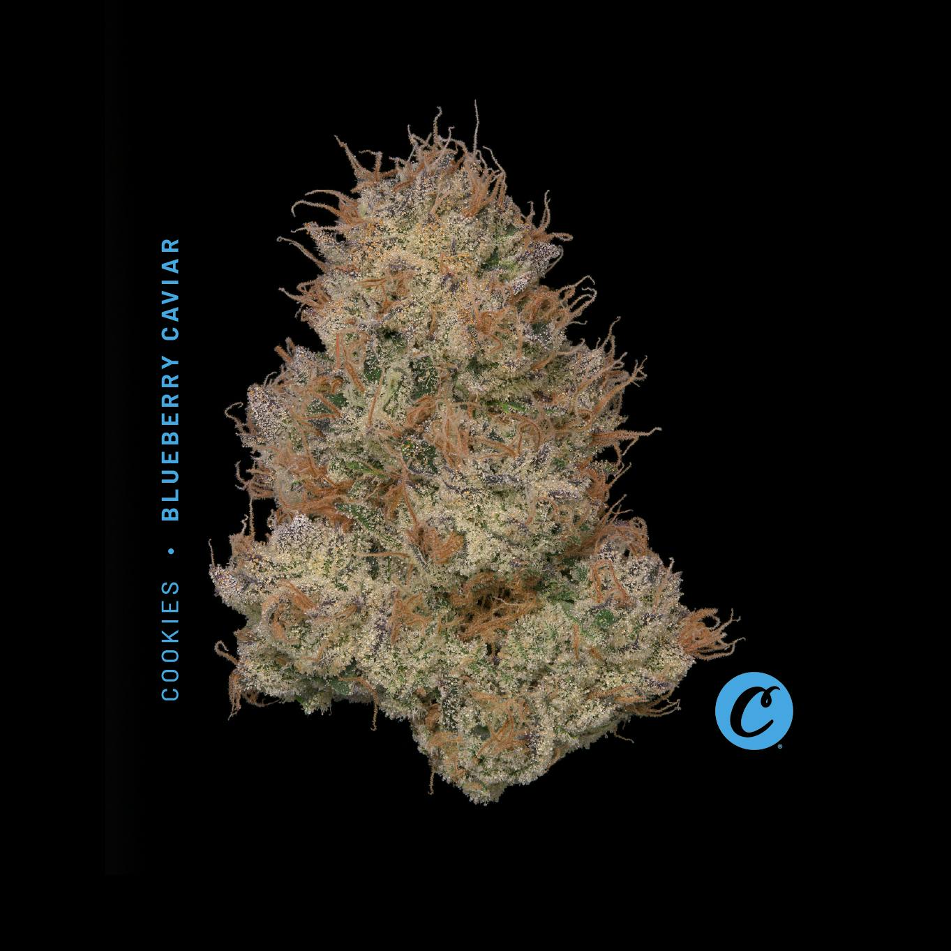 | Blueberry Caviar |