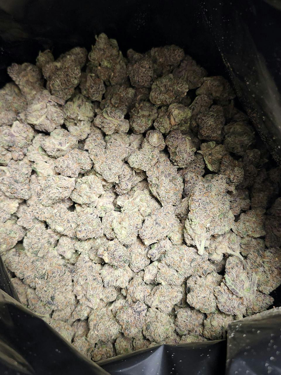 Craft Hydroponic | Purple Punch Cake | Deli