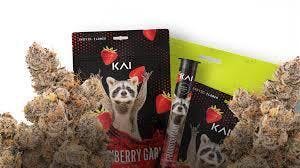 KAI Cannabis | Strawberry Gary | Deli