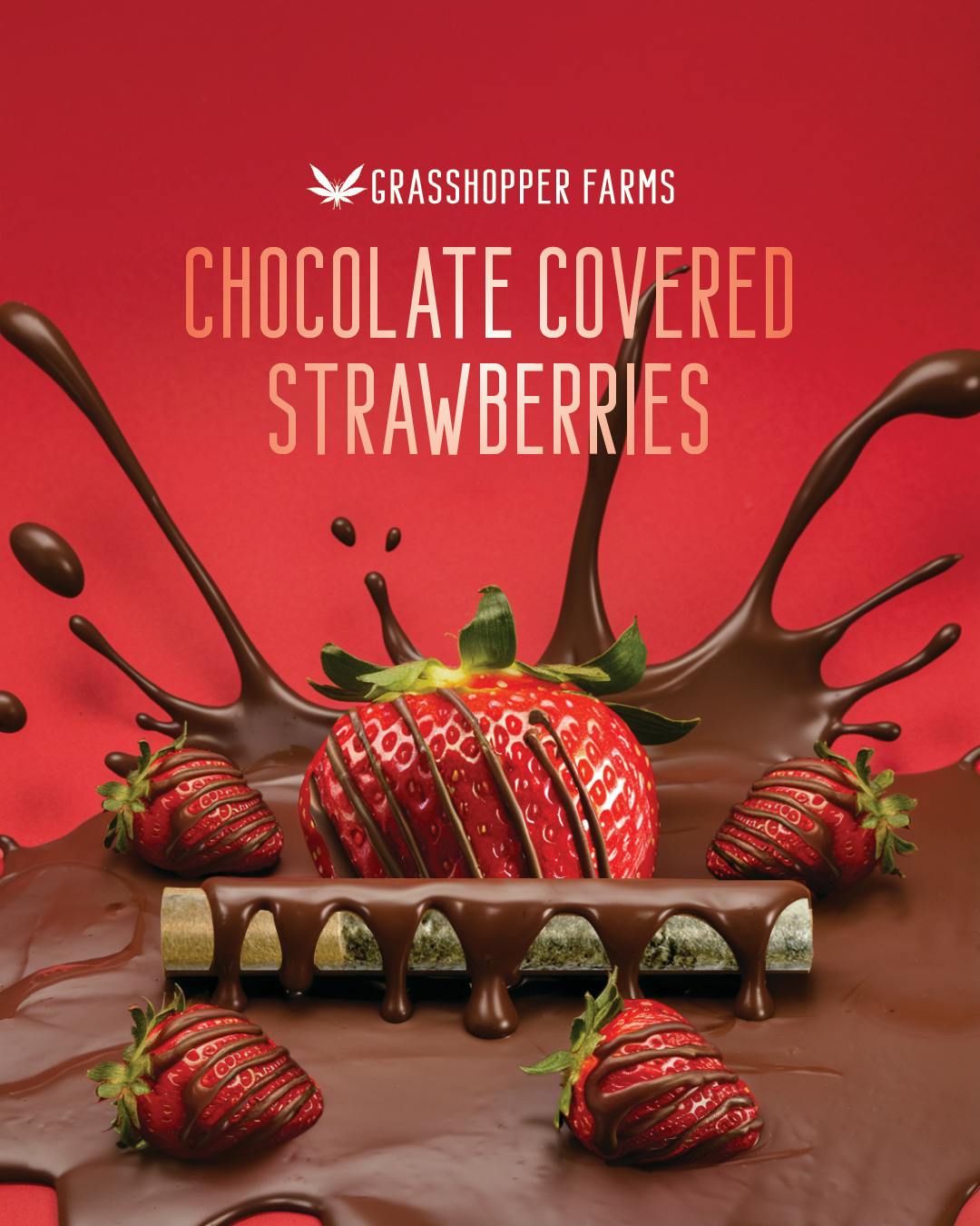 Grasshopper Farms | Chocolate Covered Strawberry | 1g Infused Preroll