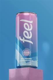 Feel | Wildberry Pomegranate Seltzer