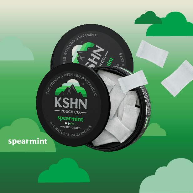 KSHN Pouch Co. | Spearmint THC Pouch