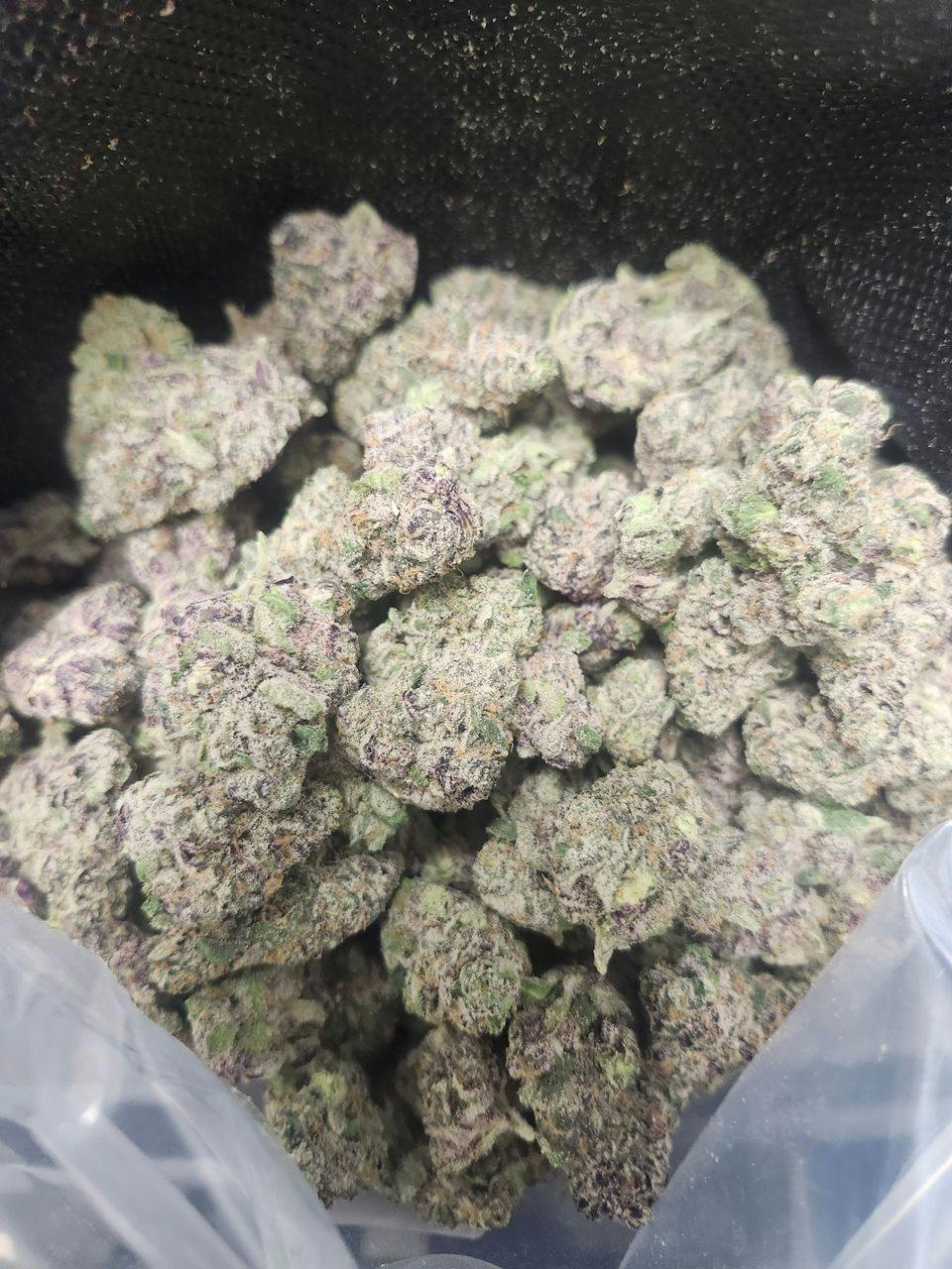 The Hempire Collective | Obama's Cream Pie | Deli
