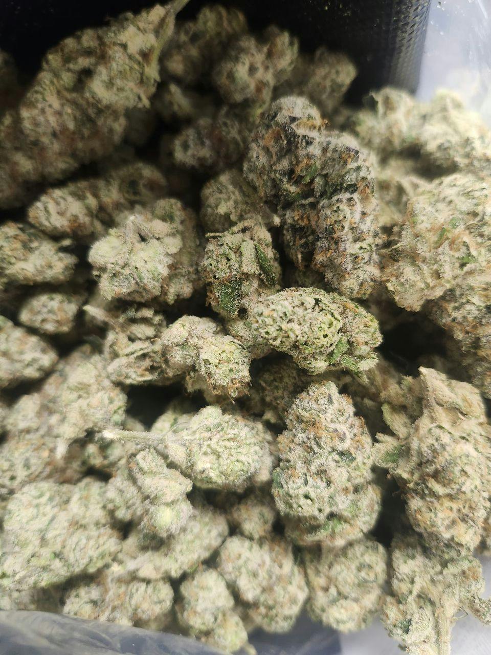 The Hempire Collective | Tropical Thunder | Deli