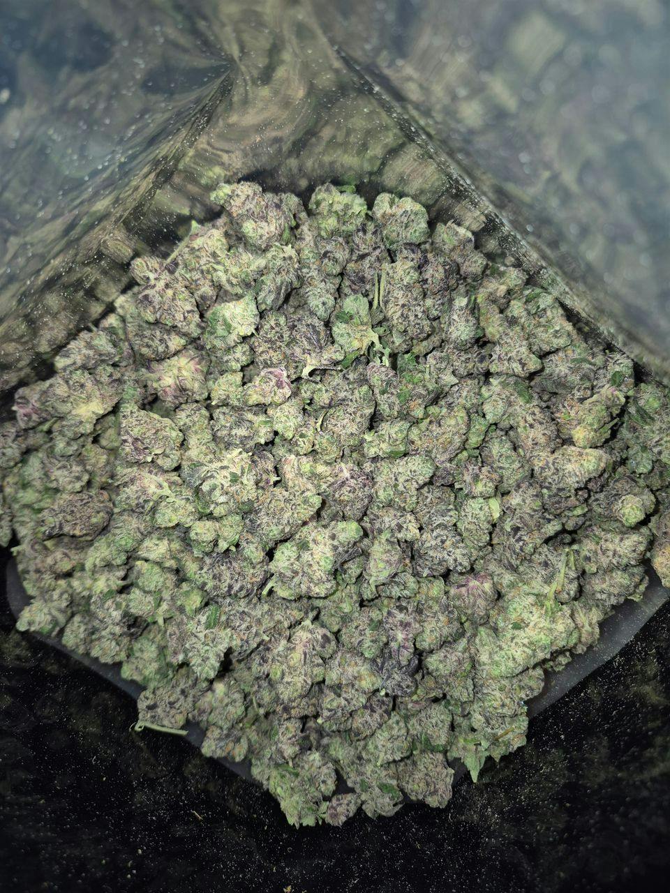 Goldkine Cannabis | Apples and Oranges | Deli (B Buds)