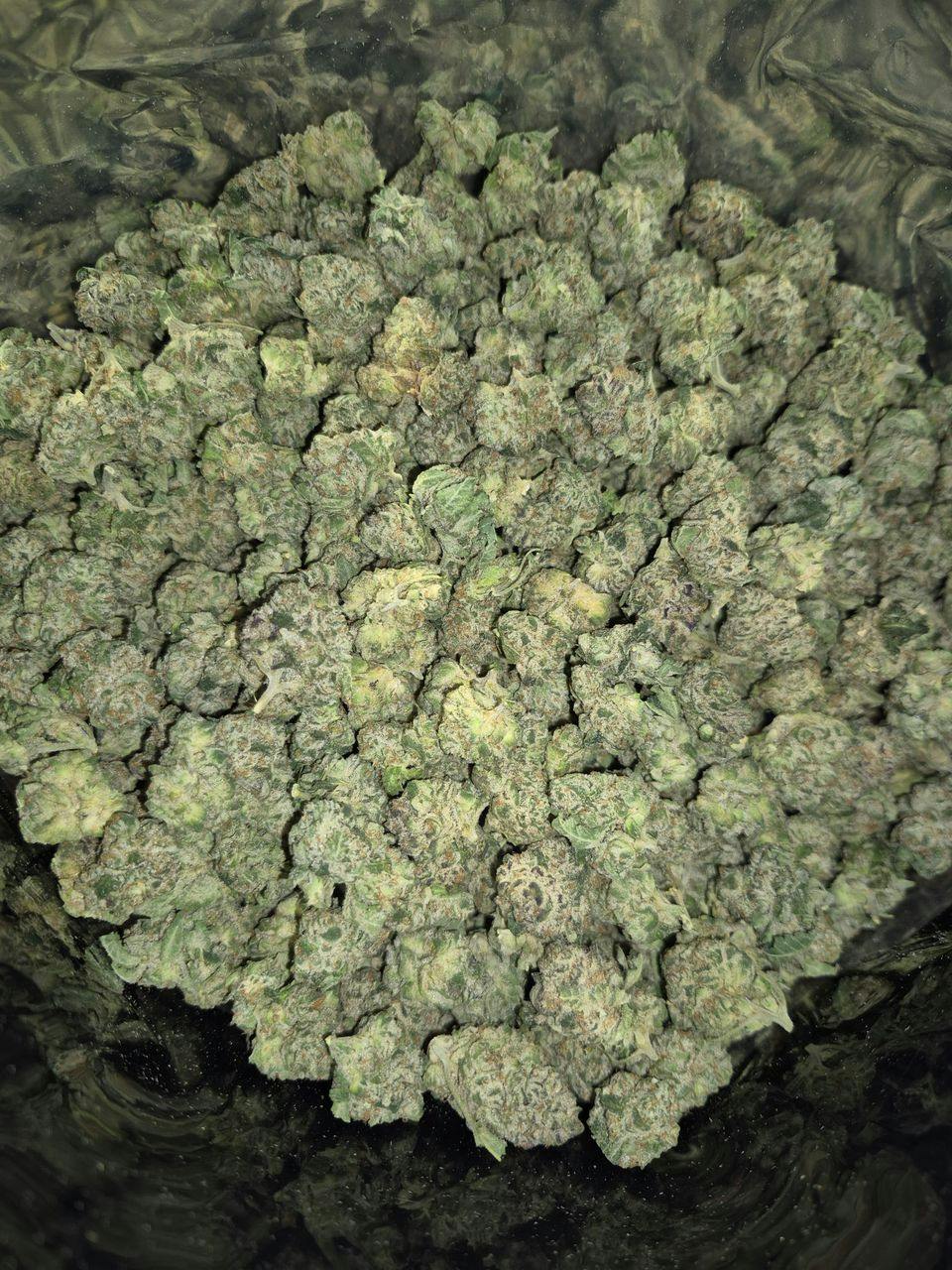 Goldkine Cannabis | Midwest Magic | Deli (B Buds)