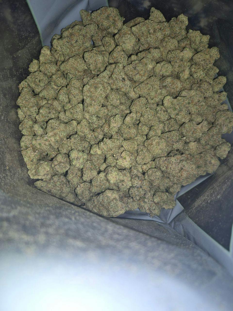 Pablo Canna Co. | Tagged | Deli