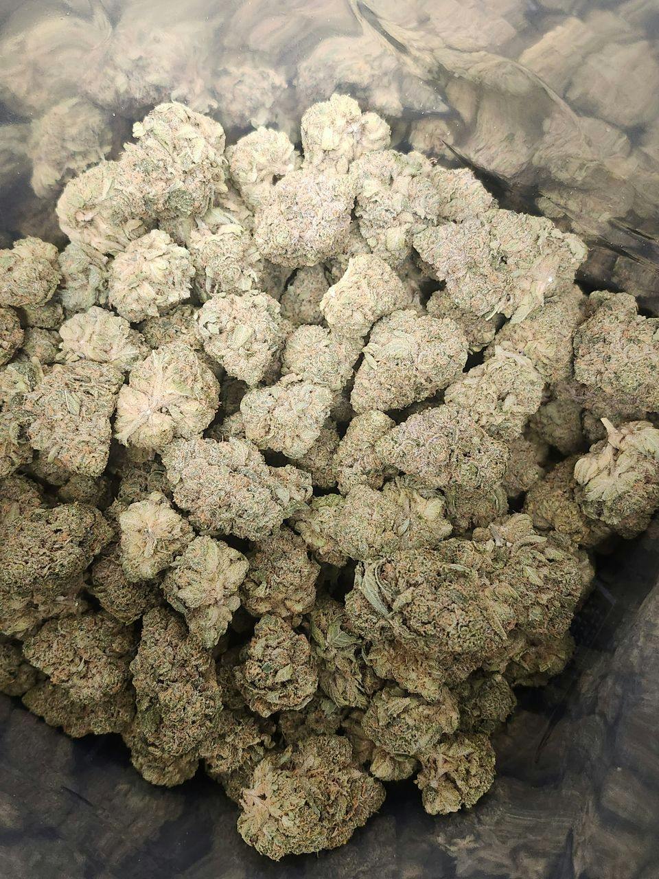 LightSky Farms | Rainbow Beltz | Deli