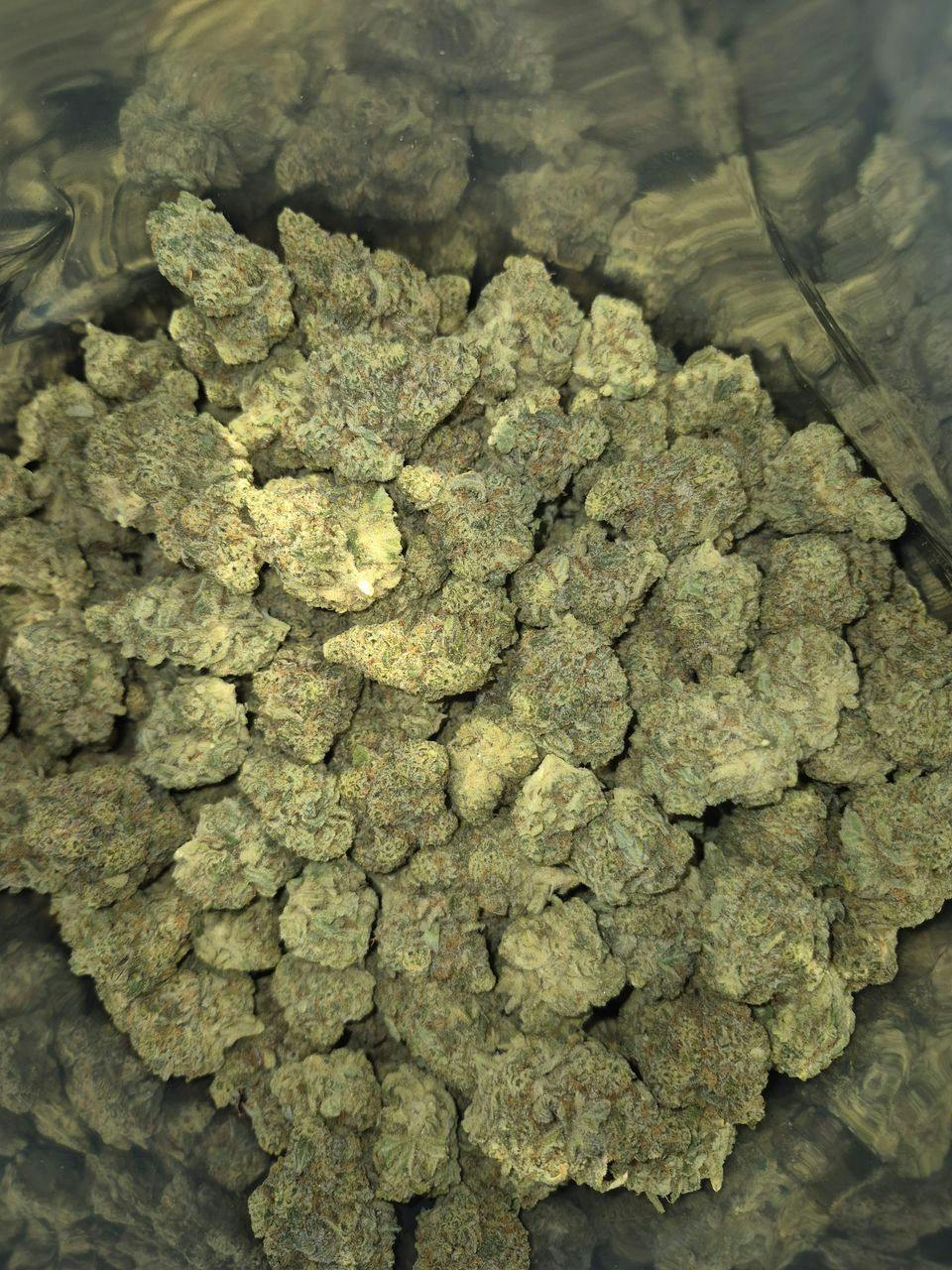 LightSky Farms | Mac | Deli