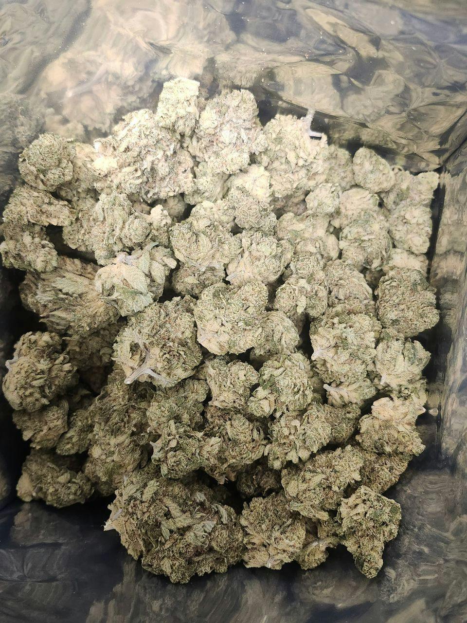 LightSky Farms | Secret Cream #5 | Deli