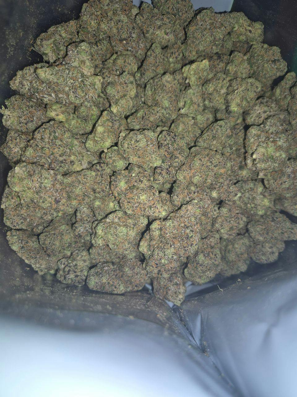 Pablo Canna Co. | Sherb-Gotti | Deli