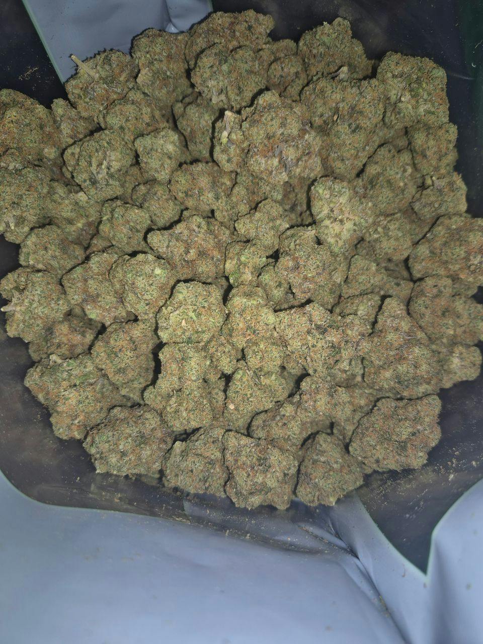 Pablo Canna Co. | Gasolina | Deli