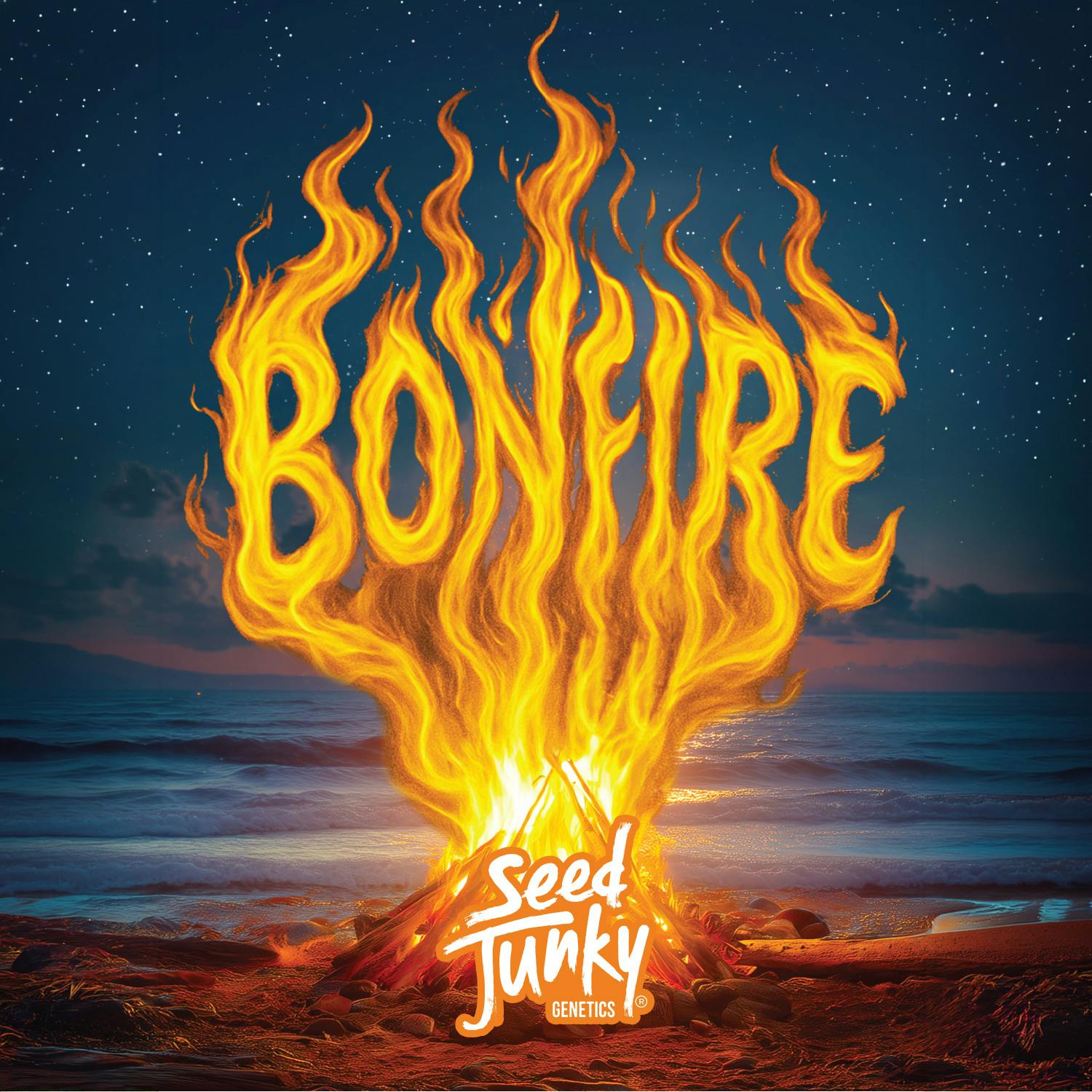 DELI - SEED JUNKY Bonfire cannabis product