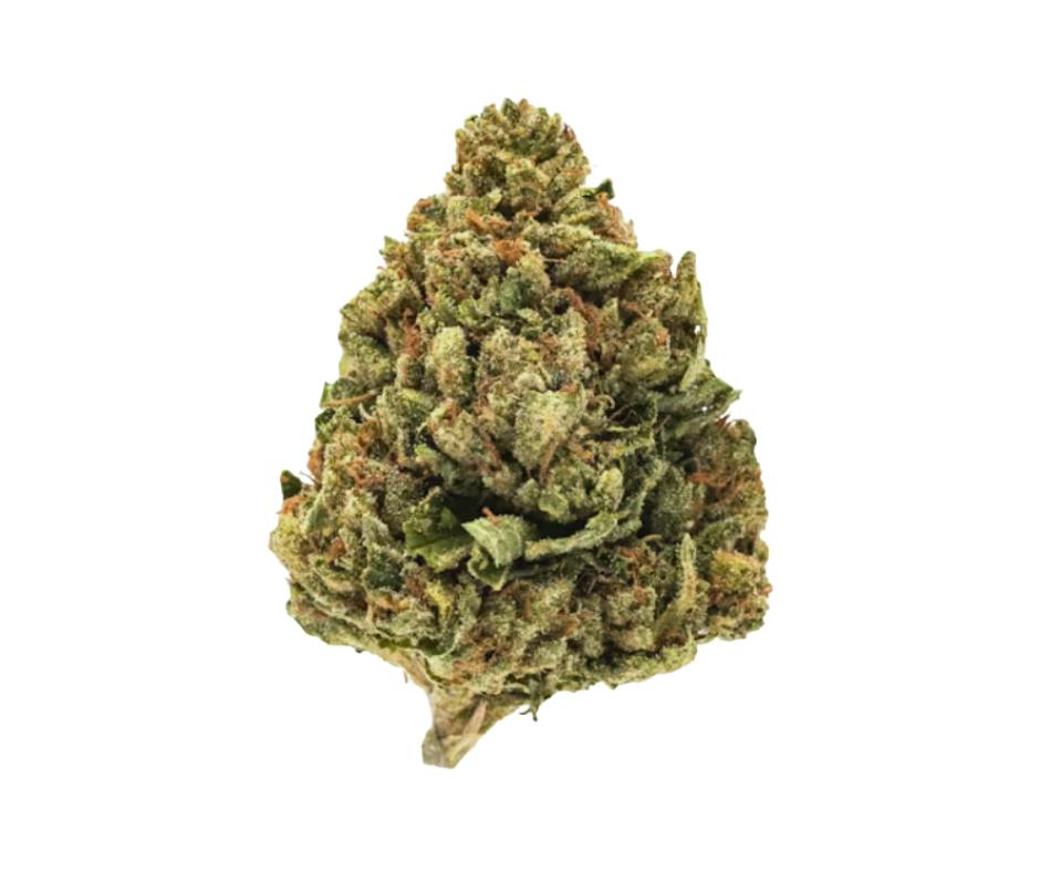 SFV OG 3.5g - Suite 1620 - 26.9% - Sativa