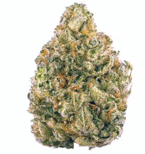 Meat Breath 7g - Green Spark Cultivation - 24.2% - Indica/Hybrid